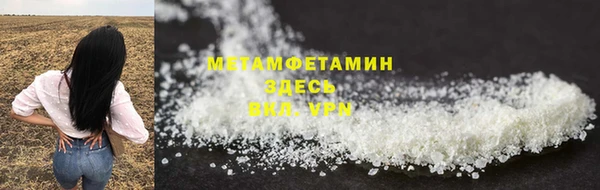 шишки Надым