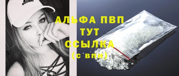 шишки Надым