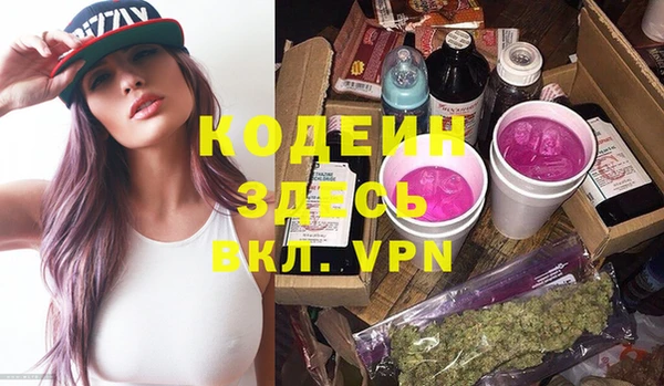 шишки Надым
