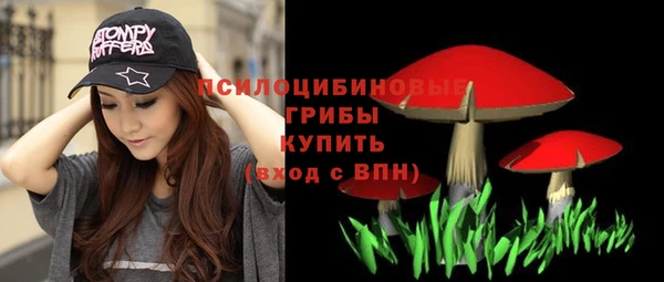 ГАЛЛЮЦИНОГЕННЫЕ ГРИБЫ Алексин