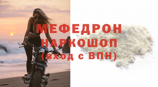 шишки Надым