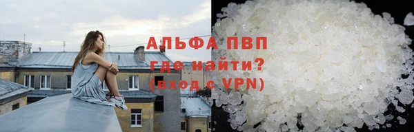 шишки Надым