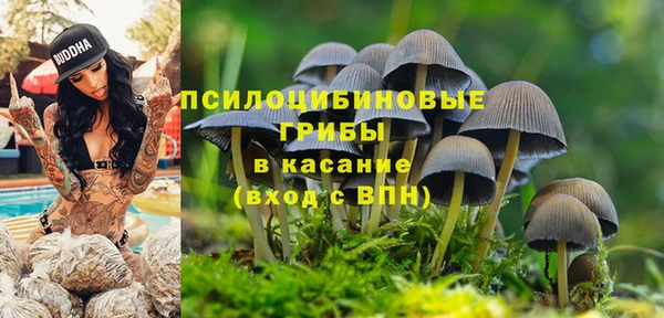 кокс Абдулино