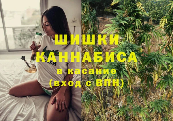 шишки Надым