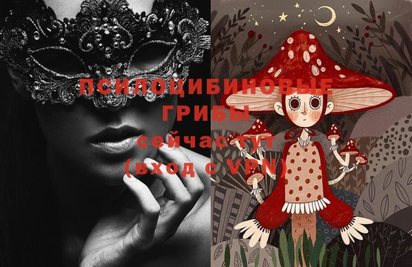 шишки Надым