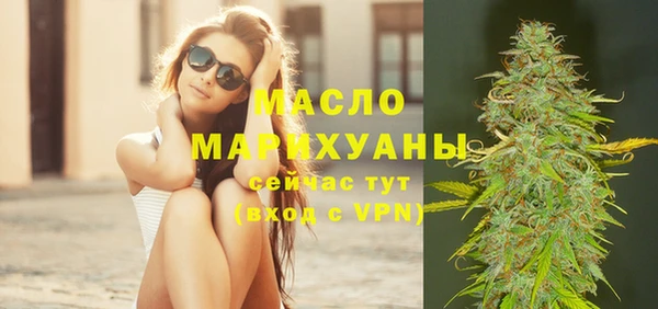 шишки Надым